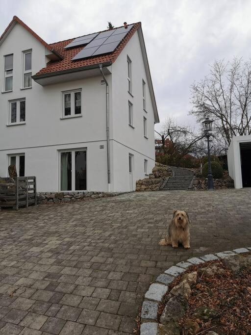 RAuszeit Nittendorf Exterior foto